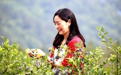 他趴在她两腿之间疯狂添漫画